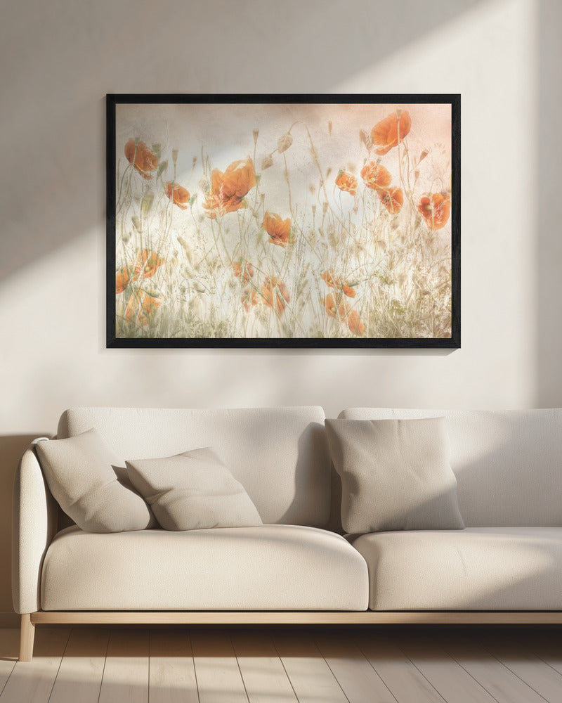 Poppies in the field | Canvas