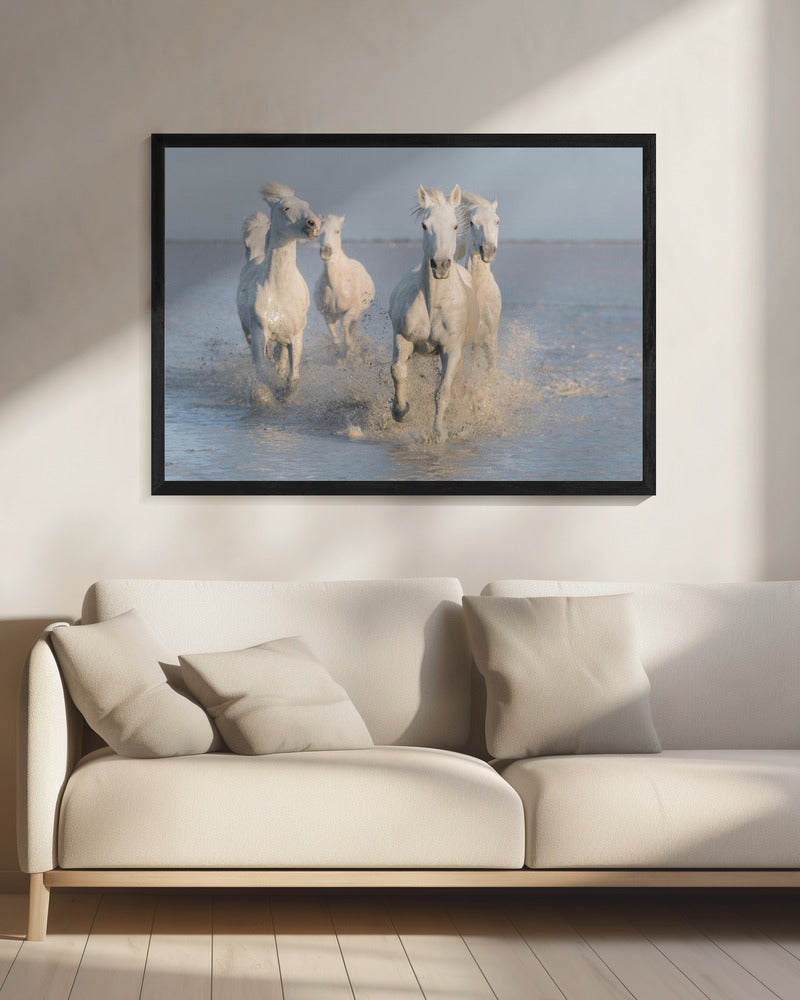 horses | Canvas