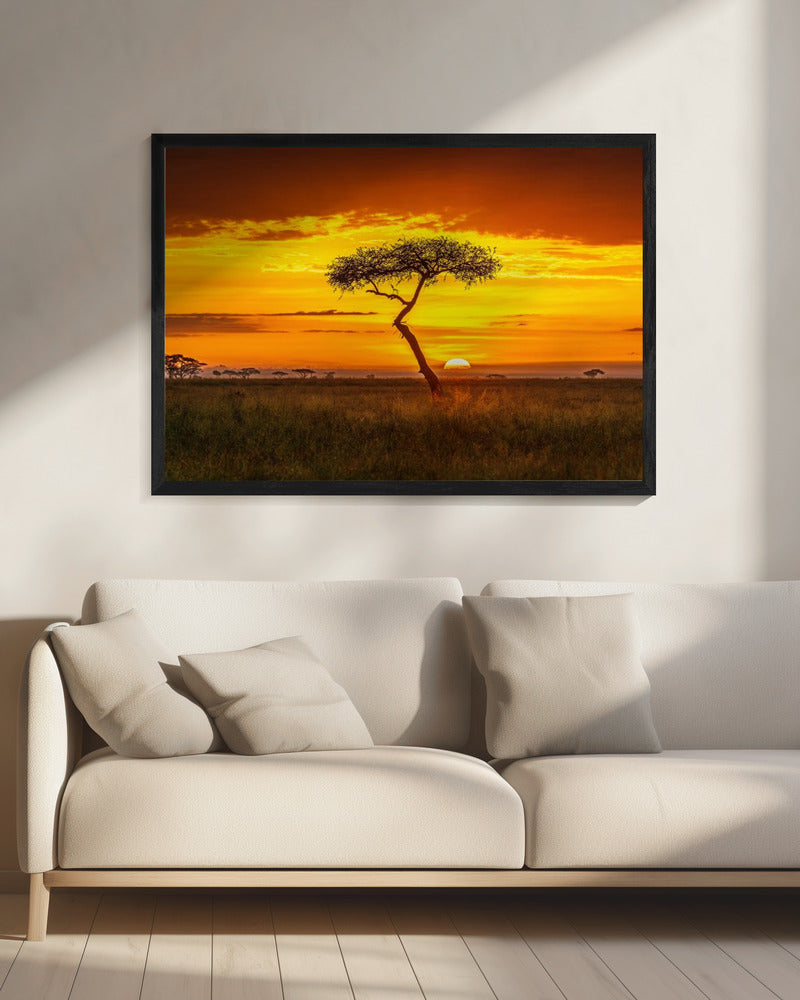 Primordial Africa | Canvas