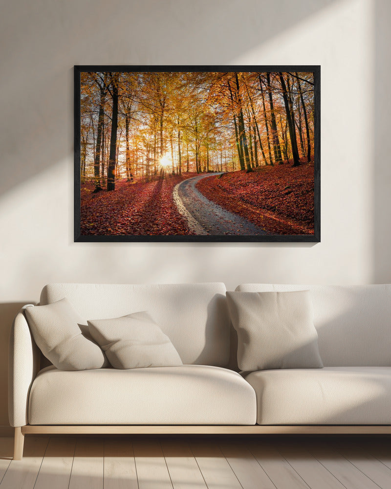 Road in Söderåsen nationalpark, Sweden | Canvas