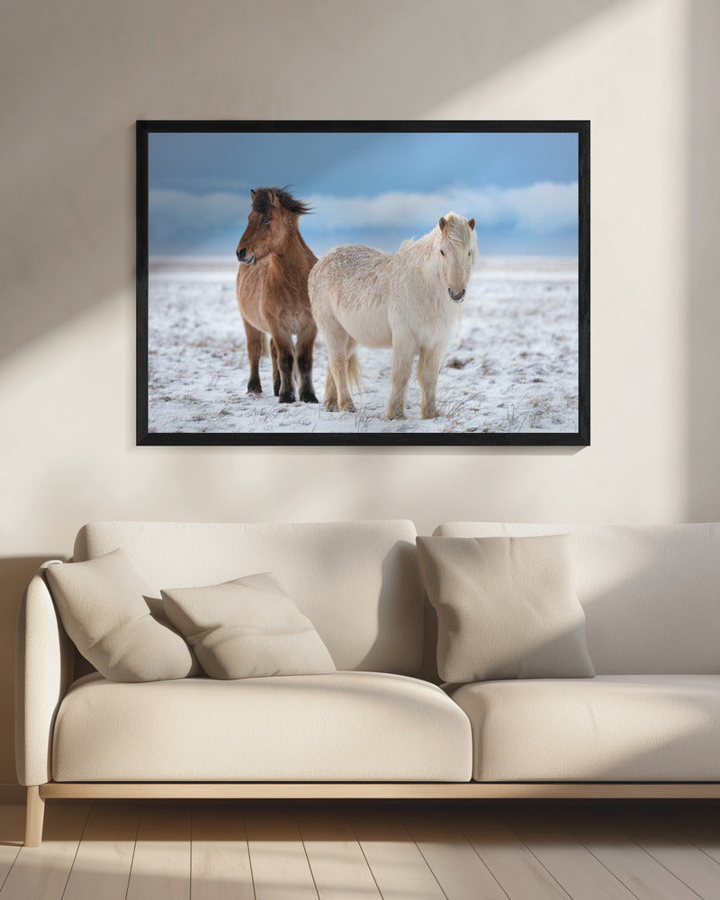 B R O T H E R S | Canvas