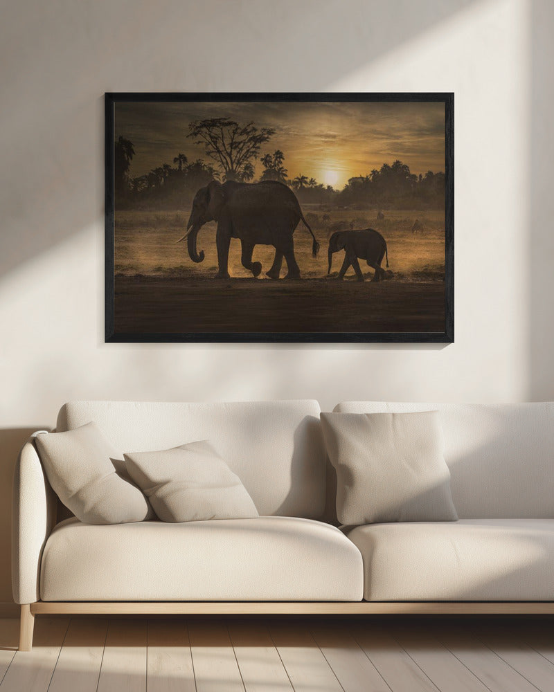 Follow me | Canvas