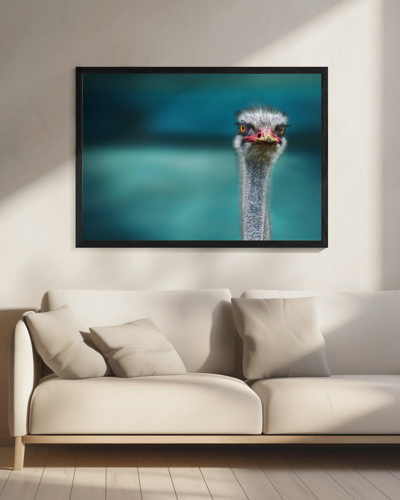 Ostrich Protecting two Poor Chicken from the Wind | Canvas