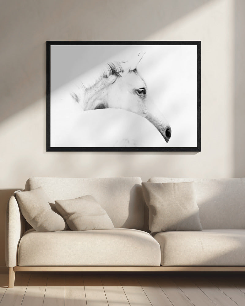 horse and minimalism | Canvas