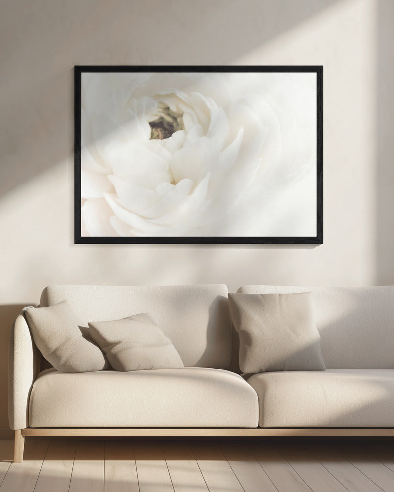 White Flower 02 | Canvas