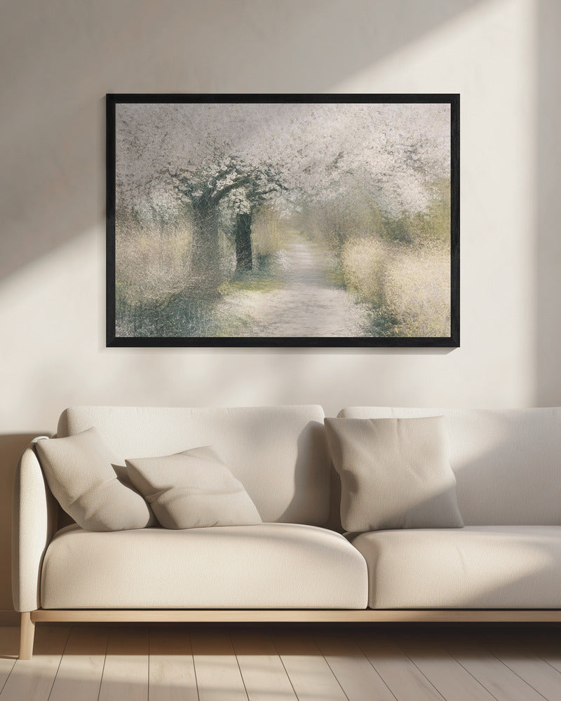 Cherry blossom | Canvas