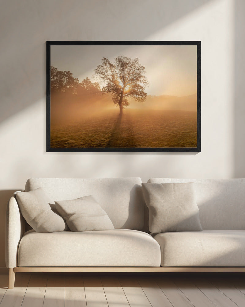 Lonely tree | Canvas