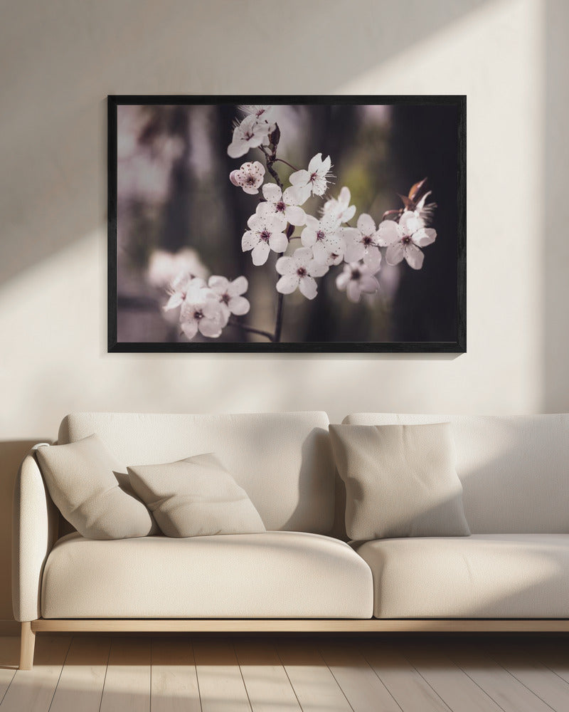 Blossoms | Canvas