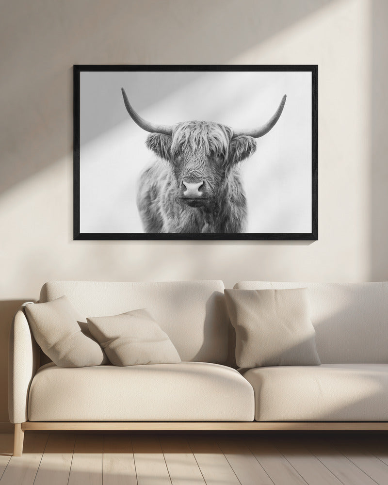 Highland Bull | Canvas
