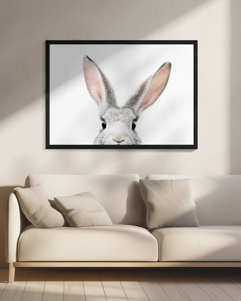 Peeking Bunny | Canvas