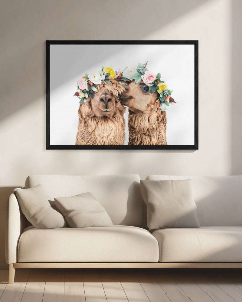 Boho Alpacas | Canvas