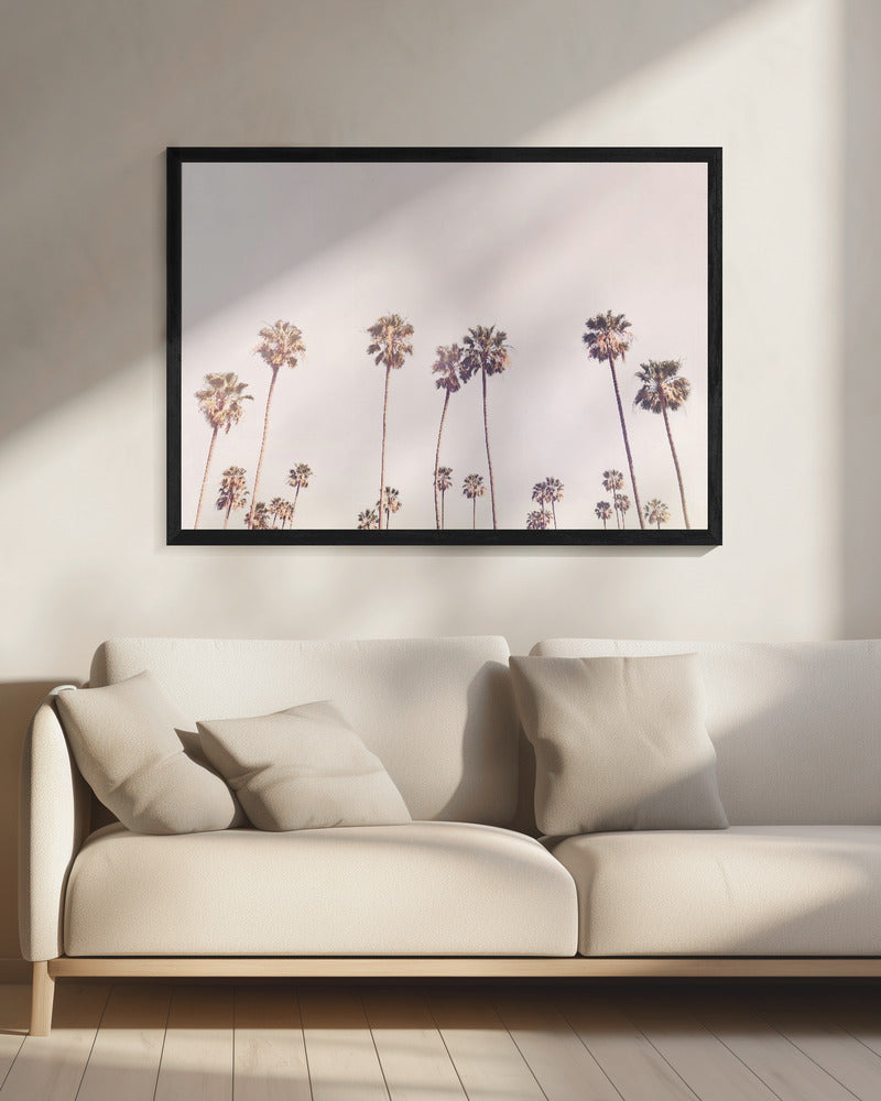 Sunny Cali Palm Trees | Canvas