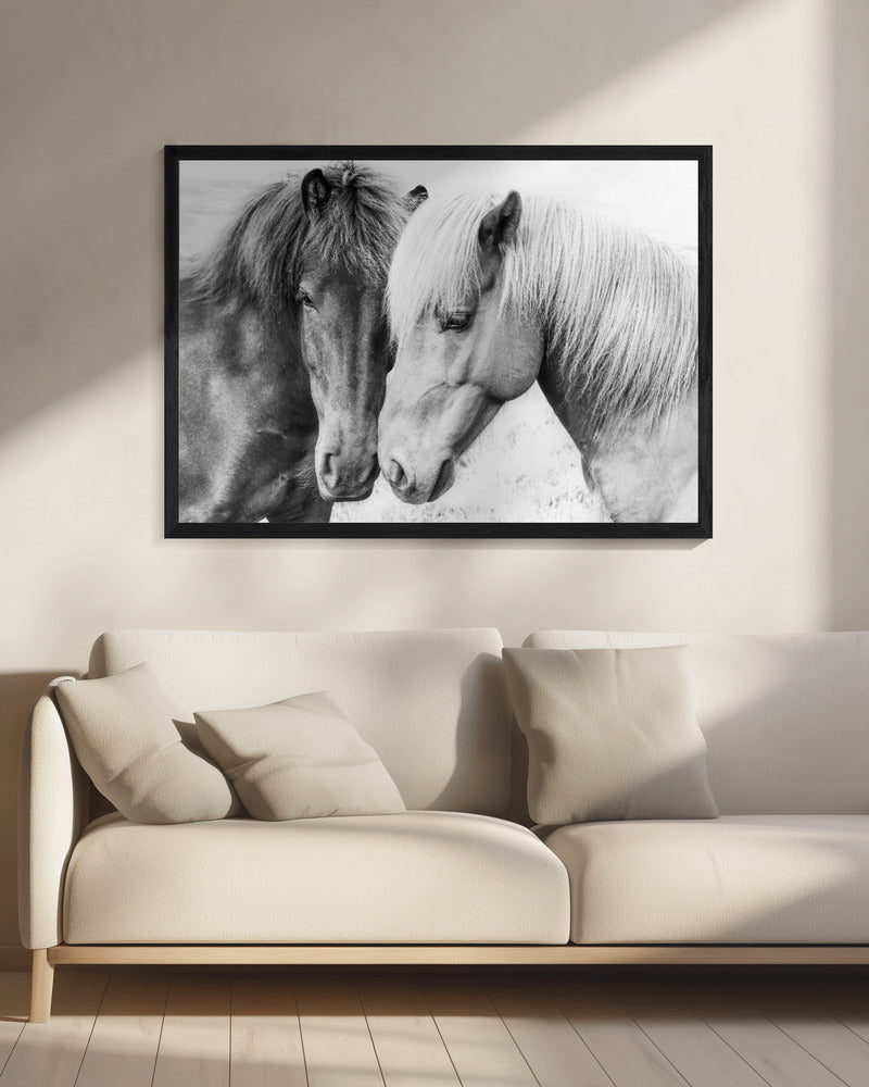 Horse Love | Canvas