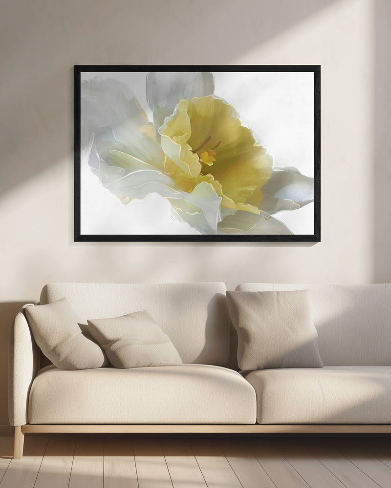 Daffodil | Canvas