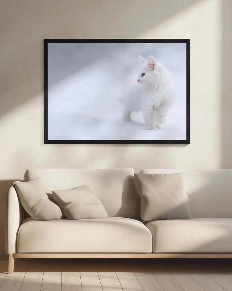 White as Snow | Canvas