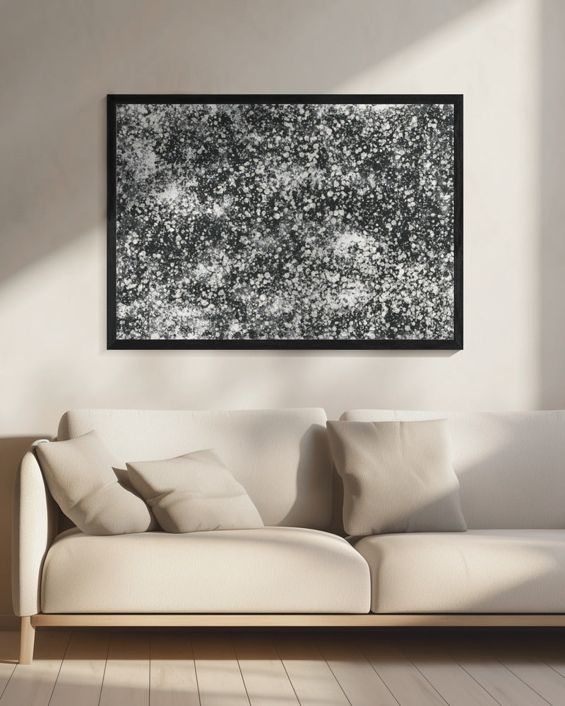 Monochromatic Splatter Pattern | Canvas