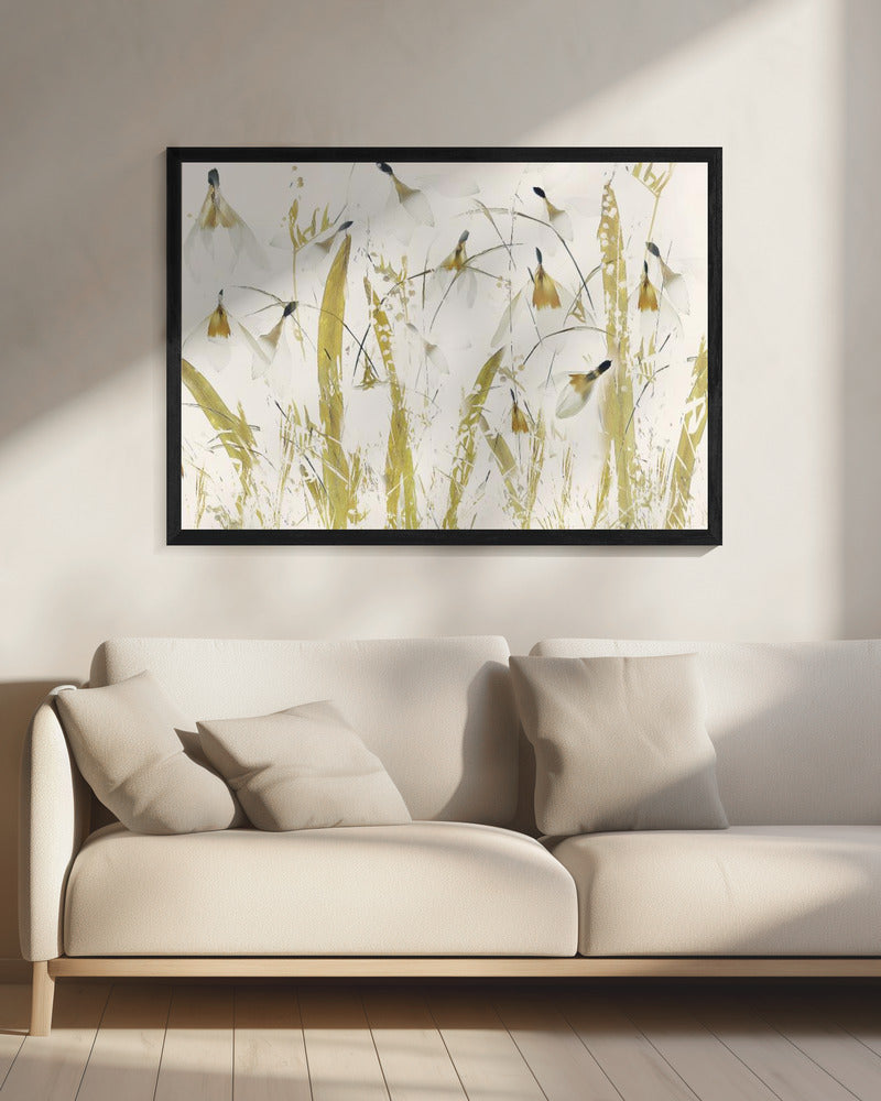 Snowdrops | Canvas