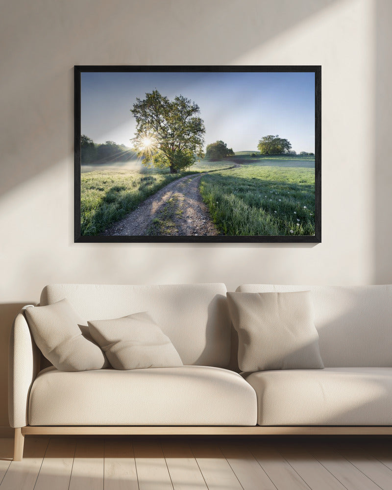 Spring Path | Canvas