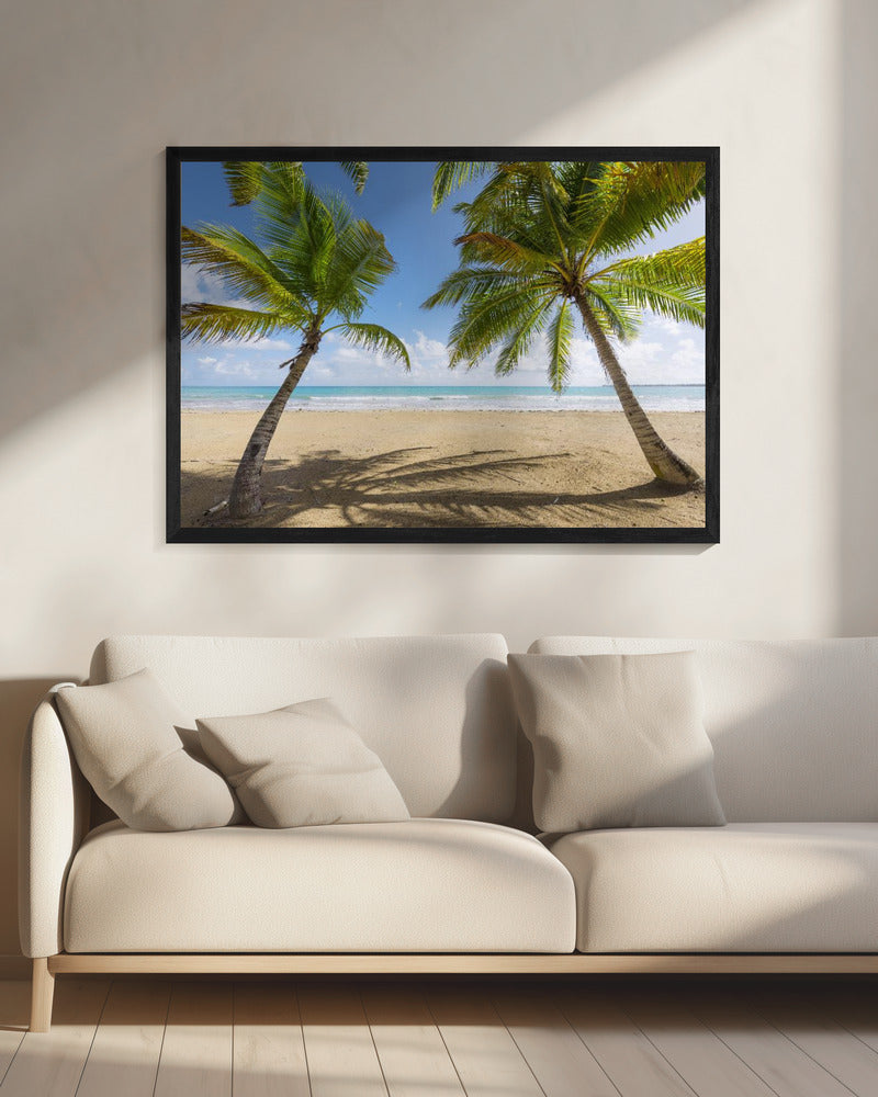 Palmy Beach | Canvas