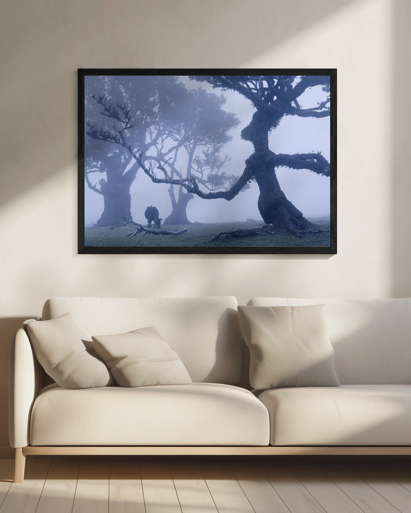 Blue Ent | Canvas