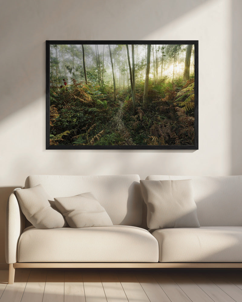 Foggy Woods II | Canvas