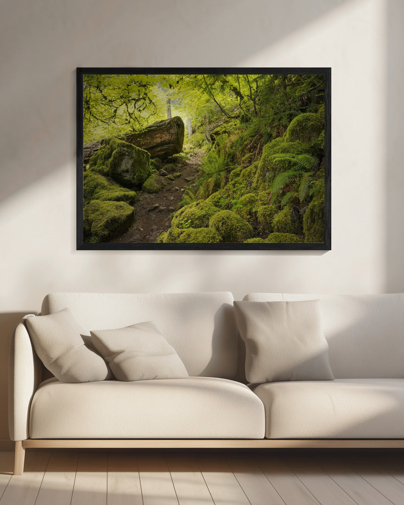 Mossy Path | Canvas