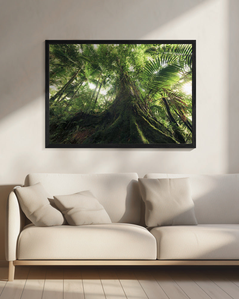 Walking in the Jungle | Canvas