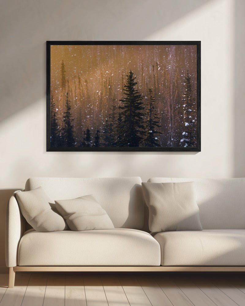 Snow Flakes | Canvas