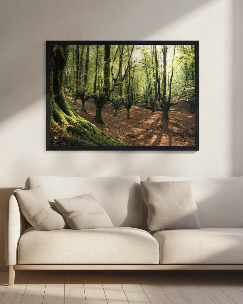 Forest Love | Canvas