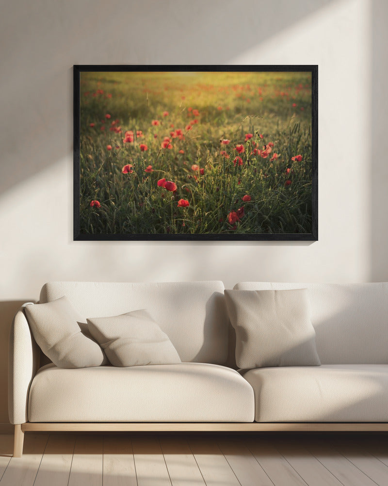 Poppy World III | Canvas