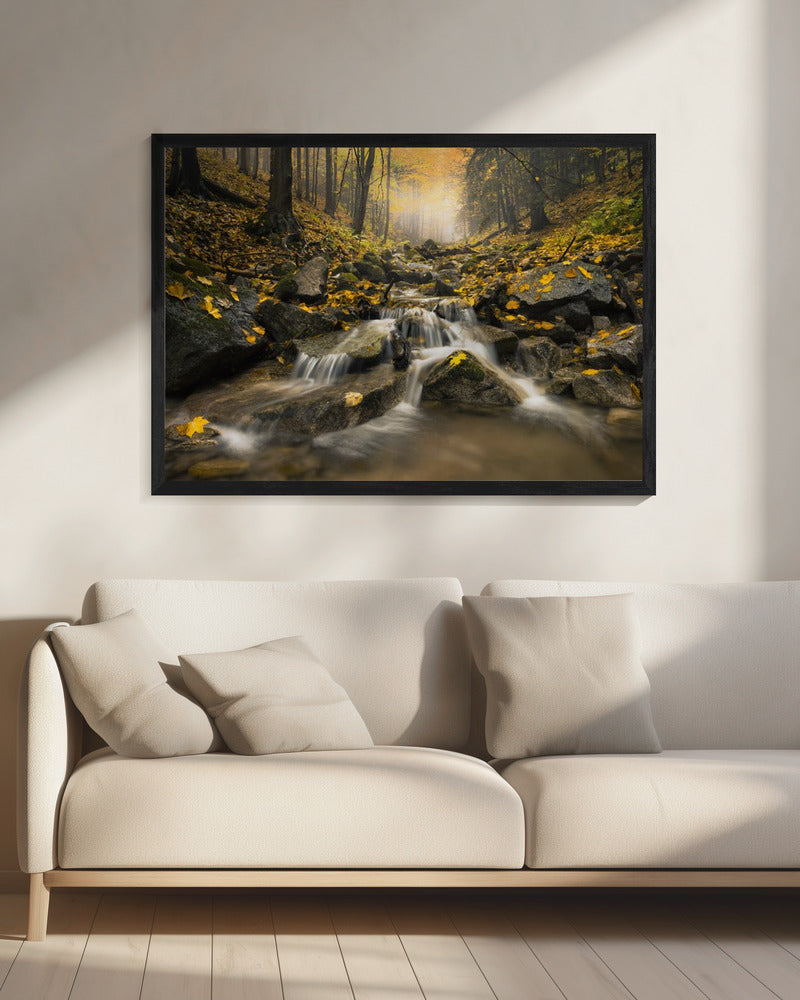 Autum Stream | Canvas