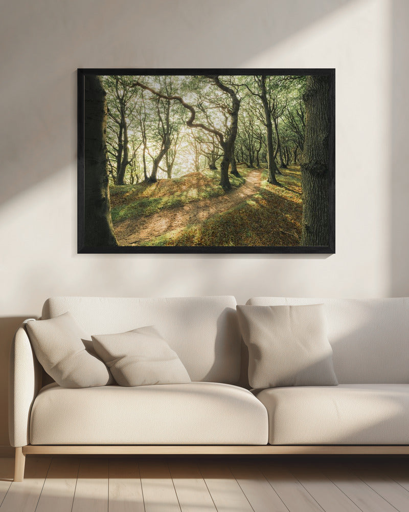 Magic Beech Wood | Canvas