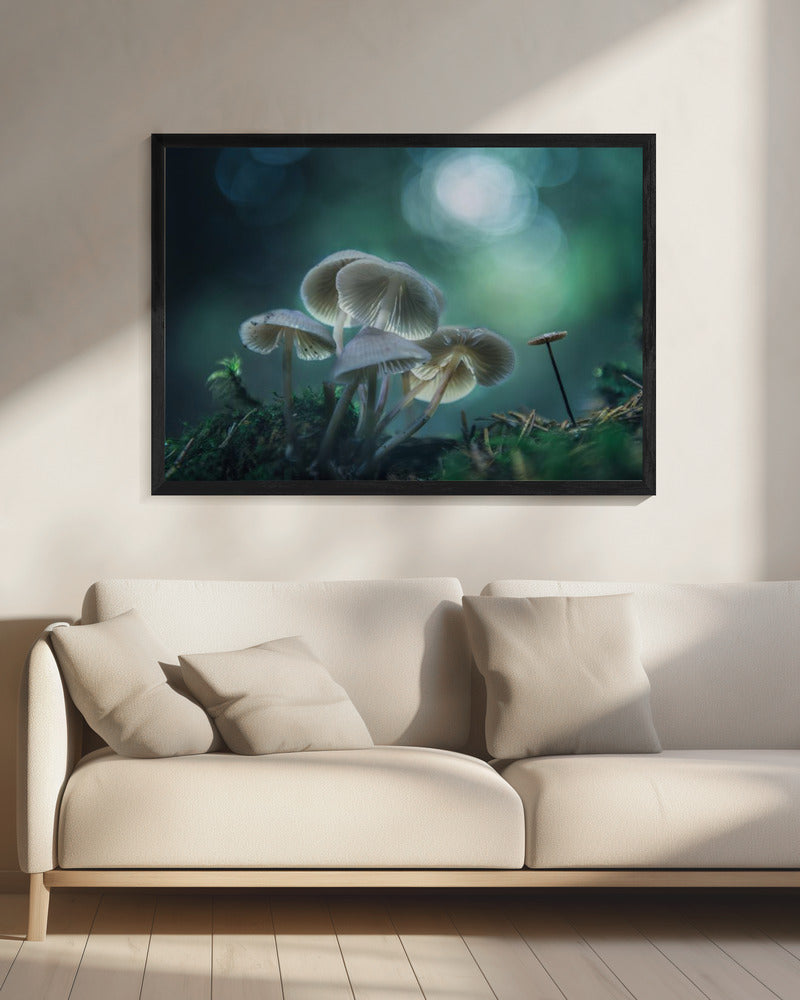 Forest Dreams | Canvas