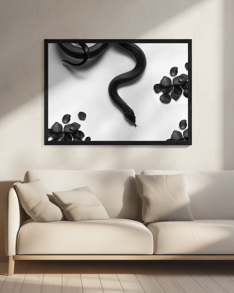 Black Snake Roam | Canvas