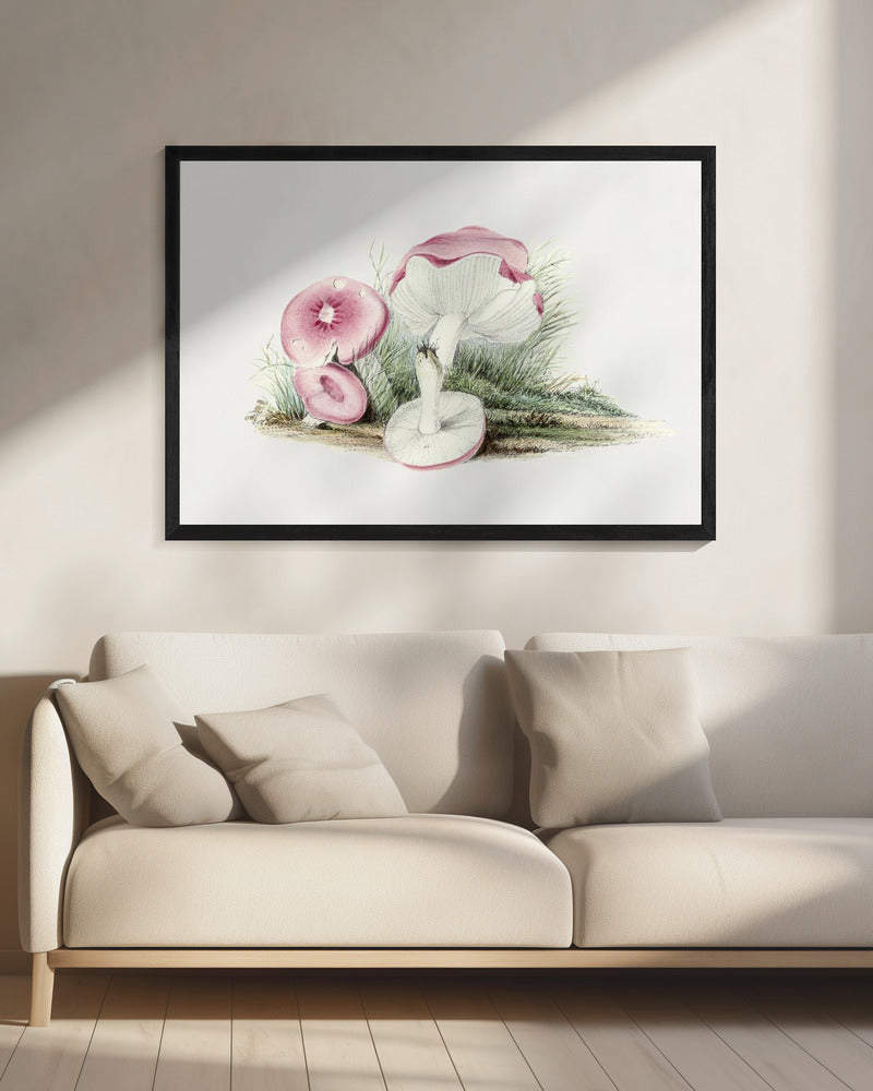 Vintage Russula Emetica Mushroom | Canvas