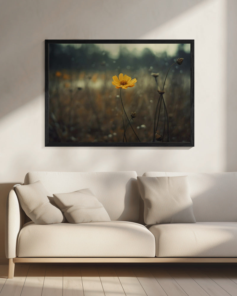 Solitary Bloomers | Canvas