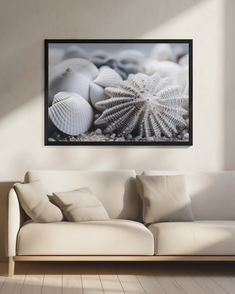 Seashell Serenity | Canvas