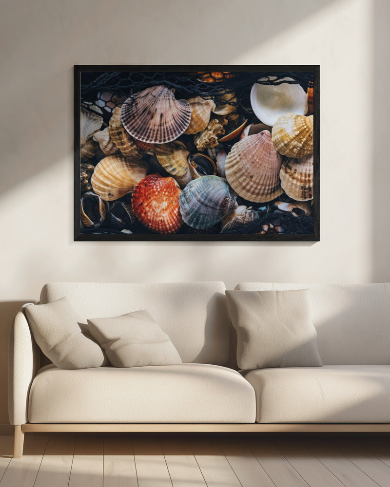 Shell Symphony | Canvas