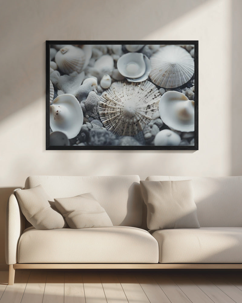 Seashell Symphony | Canvas