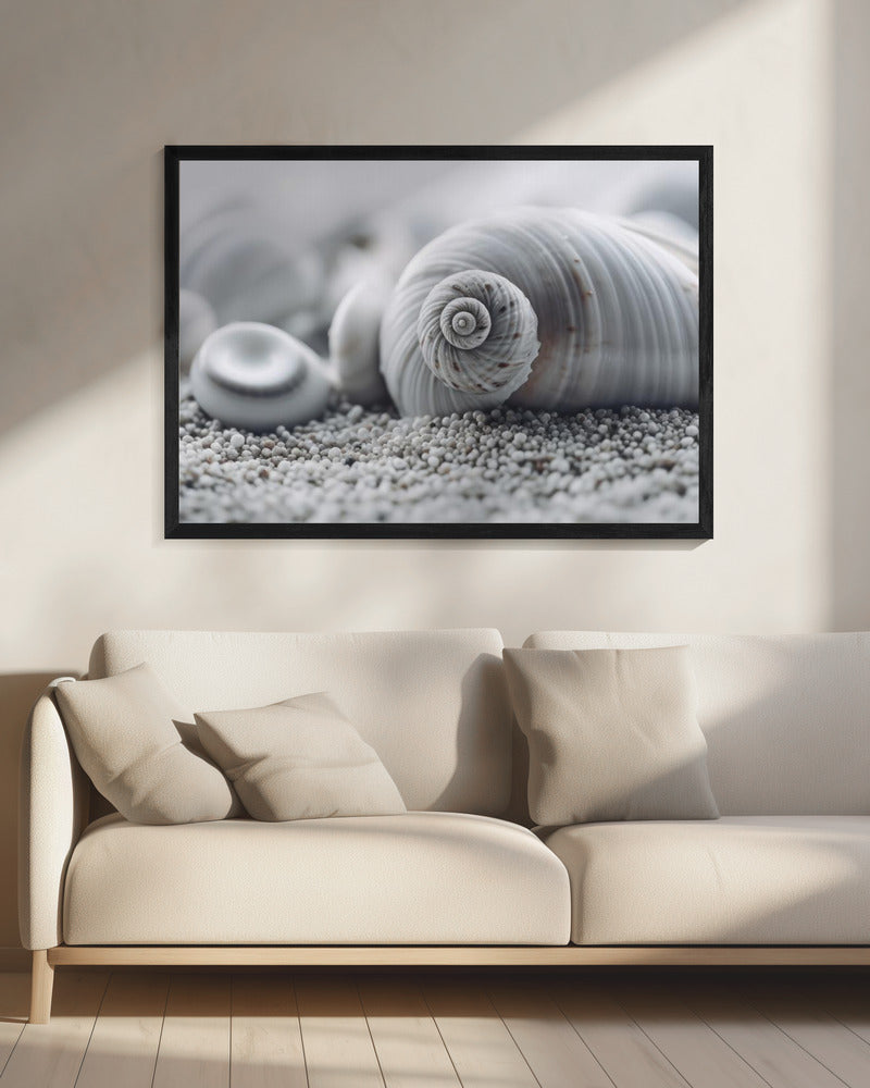 Seashell Serenity | Canvas