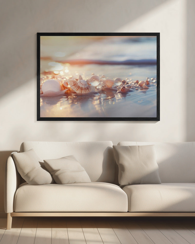 Seashell Serenity | Canvas