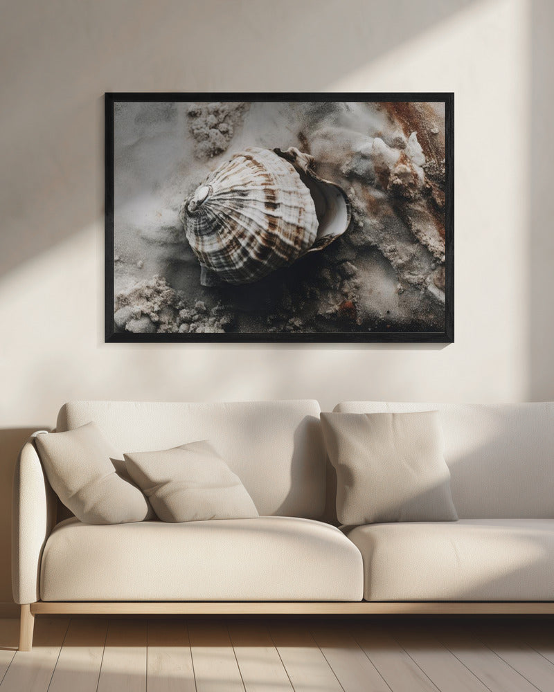 Seashell Serenity | Canvas