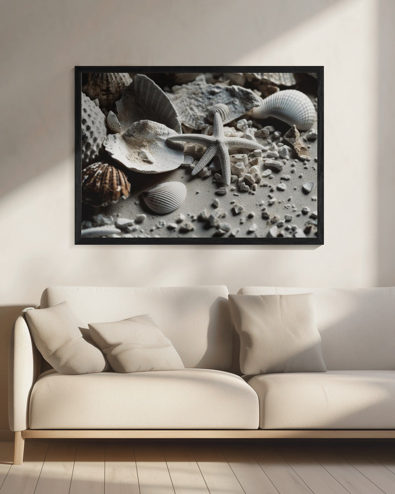Seaside Treasures | Canvas
