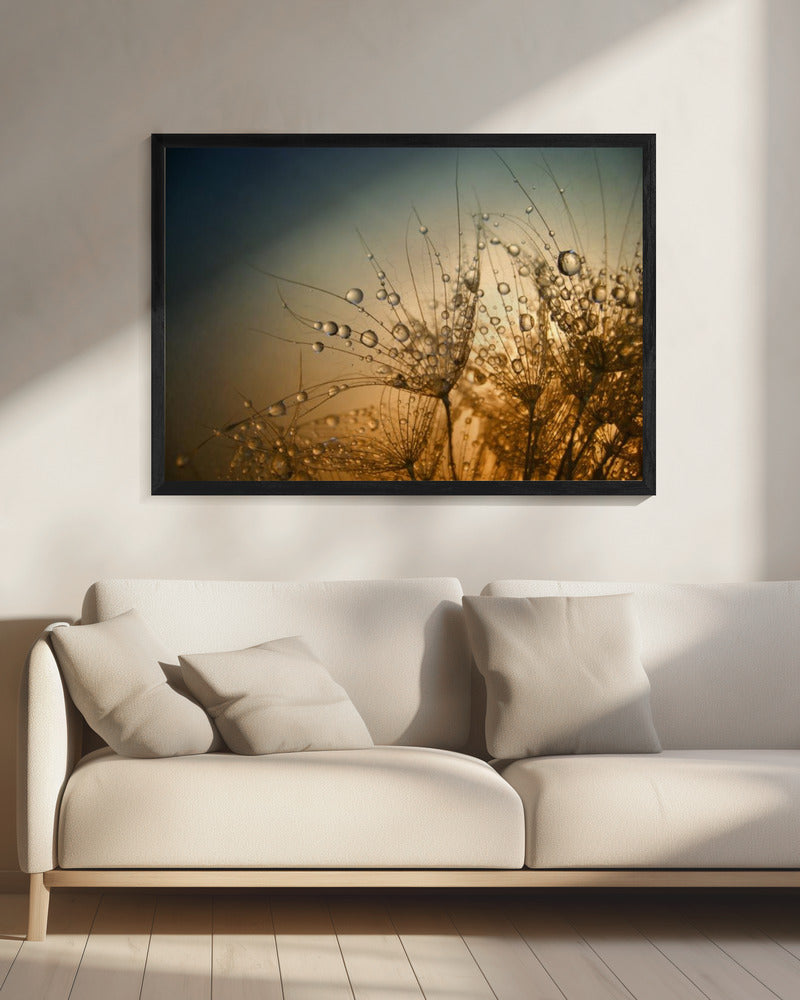 Tender is the Night | Canvas