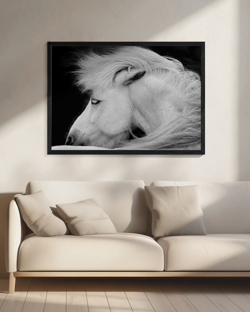 Listen to the Wind | Canvas