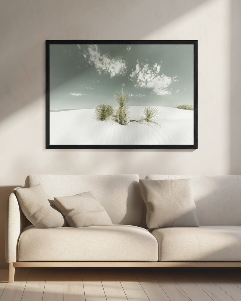 WHITE SANDS Vintage | Canvas
