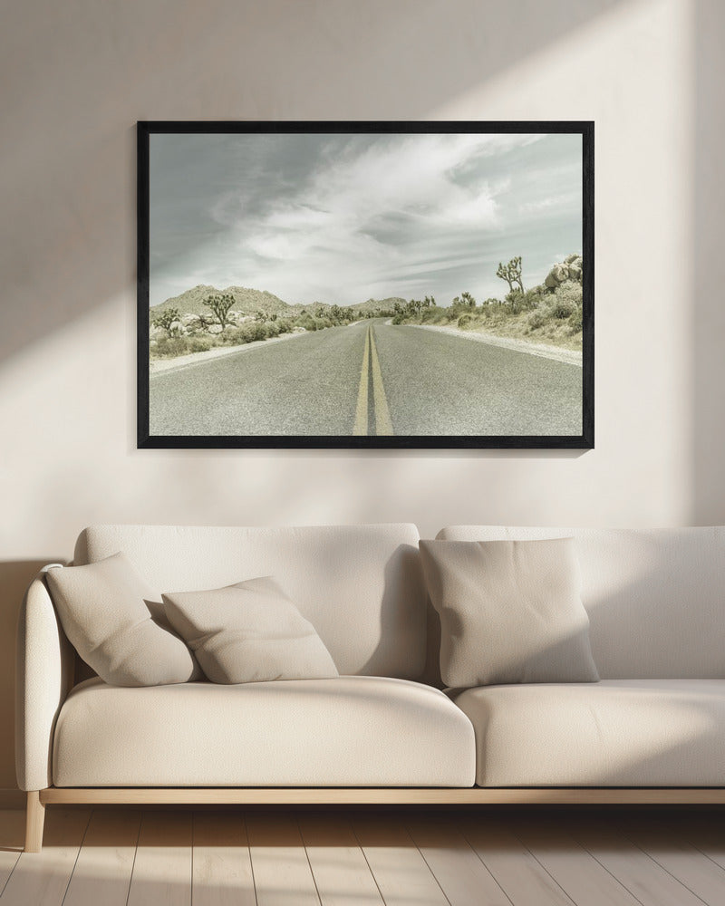 Vintage Joshua Trees, Park Boulevard | Canvas
