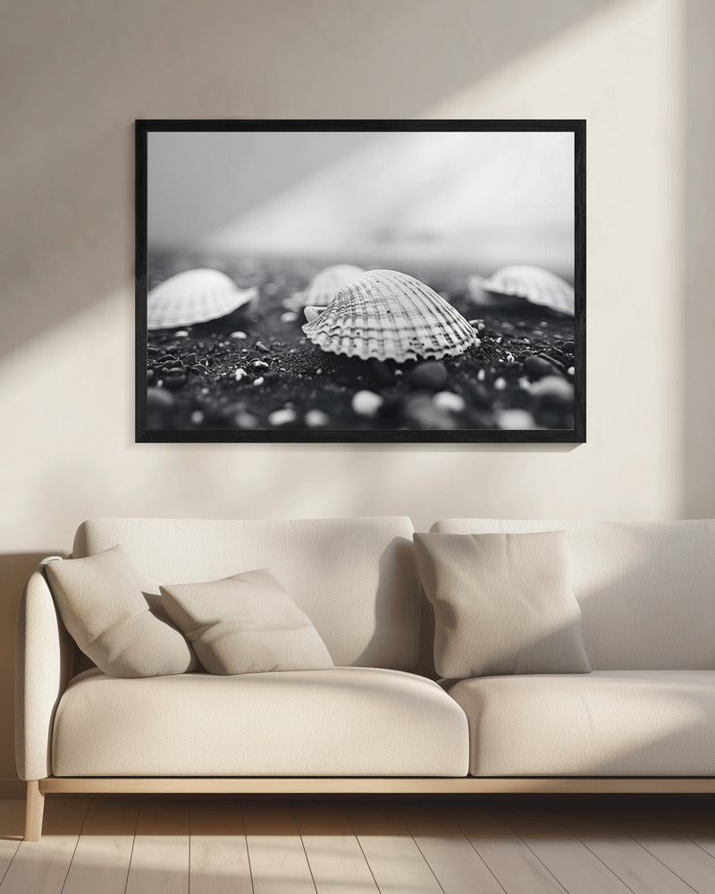 Seashell Serenity | Canvas