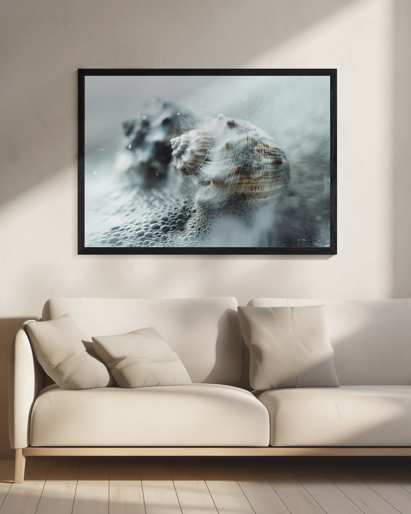 Shells in Ocean Mist | Canvas