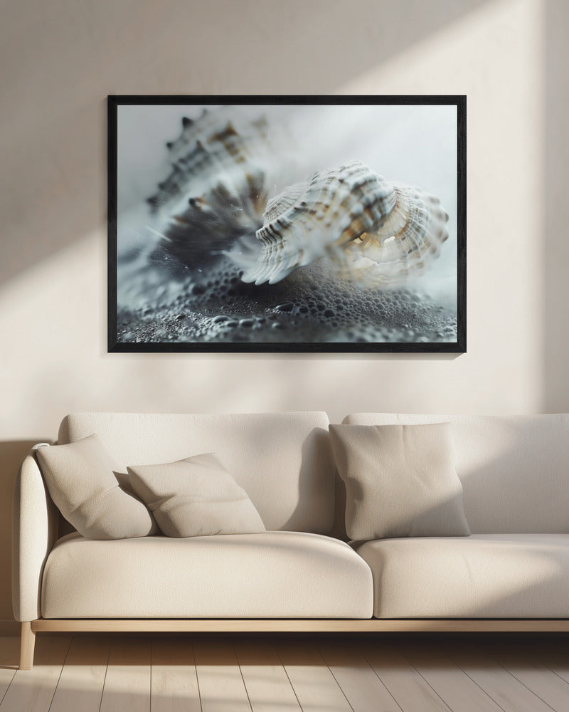 Seashell Serenity | Canvas